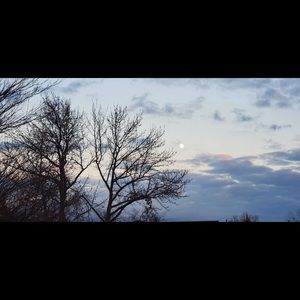 Meet your Posher, Doreen